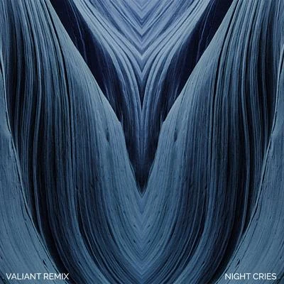 Night Cries (Valiant Remix) 專輯 Arctic Lake