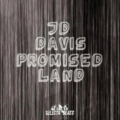 Promised Land 2010 (Traxsource Edition) 专辑 JD Davis