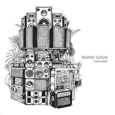 Code Name 專輯 Little Lion Sound/Brother Culture/Addis Records/Junior Dread