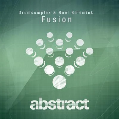 Fusion 專輯 Roel Salemink