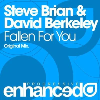 Fallen For You 專輯 David Berkeley