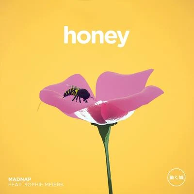 Honey 專輯 Madnap