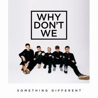 Something Different 专辑 Why Don't We/The White Panda