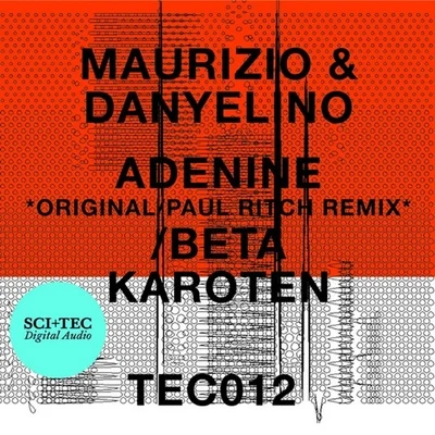 Adenine 專輯 Maurizio/Underground Resistance