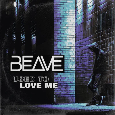 Used To Love Me 专辑 Beave/Paulii/Rosbeh