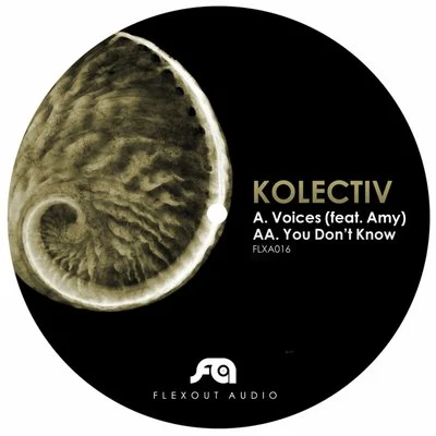 Voice You Don't Know 專輯 Kolectiv/Hyroglifics