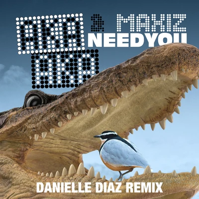 Need You (Danielle Diaz Remix) 專輯 AKA AKA/Joachim Pastor/Florence Bird