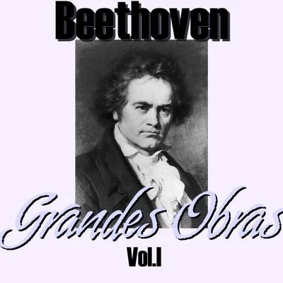 Wiener Symphoniker Beethoven Grandes Obras Vol.I