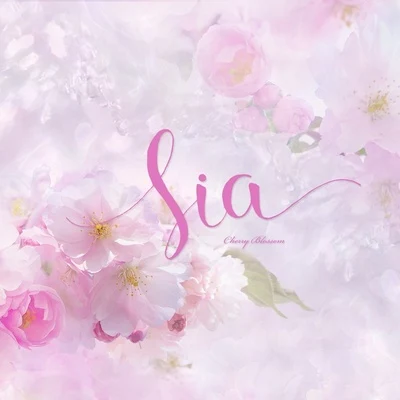 벚꽃 지던 날 专辑 Sia