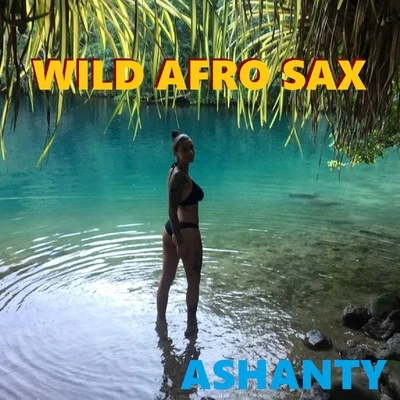 WILD AFRO SAX (Afro Sax Ashanty) 專輯 Brigitte/Ashanty