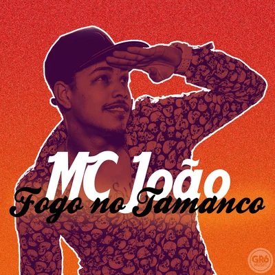 Fogo No Tamanco 专辑 Mc Menor da Vg/Mc João