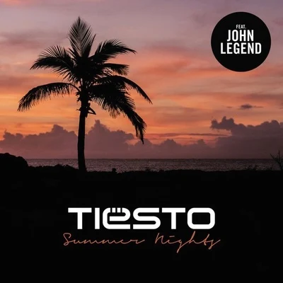 Summer Nights (Tiësto Deep Mix) 專輯 Tiesto/BOBBY PUMA