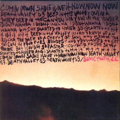 Death Valley 69 專輯 Sonic Youth