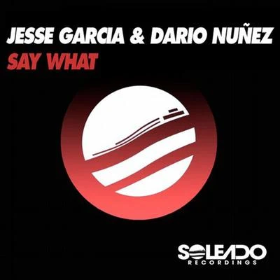 Say What 專輯 Dario Nunez