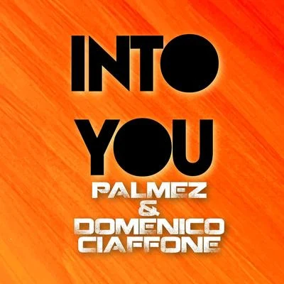 Into You 专辑 Palmez/Domenico Ciaffone