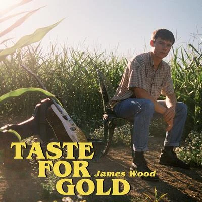 Taste for Gold 专辑 Pierre de la Rue/Josquin Desprez/James Wood/New London Chamber Choir