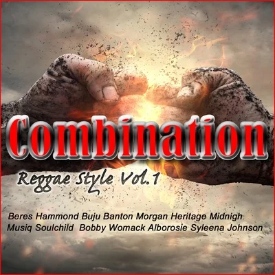 Combination Reggae Style Vol.1 专辑 Gentleman/Anthony B/Common Kings/Ozomatli/Iya Terra