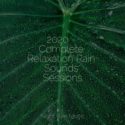 2020 - Complete Relaxation Rain Sounds Sessions 專輯 Rain Storm Sample Library