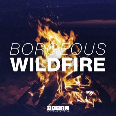 Wildfire 专辑 Borgeous