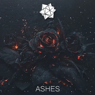 Ashes 專輯 R3x0R/Kozmoz