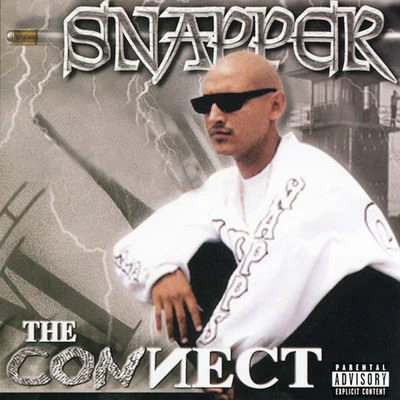 The Connect 專輯 Snapper