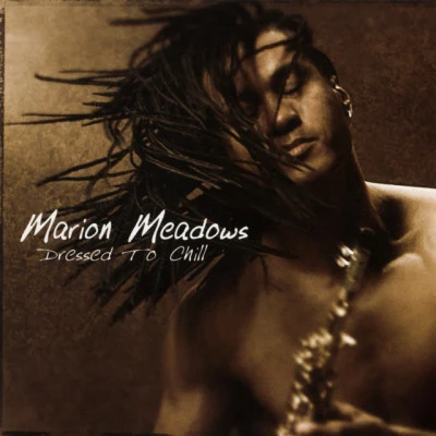 Dressed To Chill 专辑 Sounds of Blackness/Marion Meadows/Chanté Moore/Norman Brown/Kirk Whalum