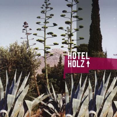 Hotel Holz 專輯 Holz/Motor/T.Raumschmiere/Scapegoat/Peter Grummich