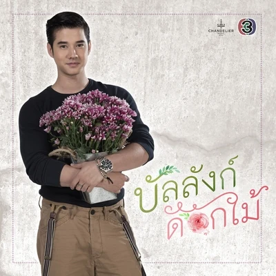 ขอบคุณ 专辑 Mario Maurer