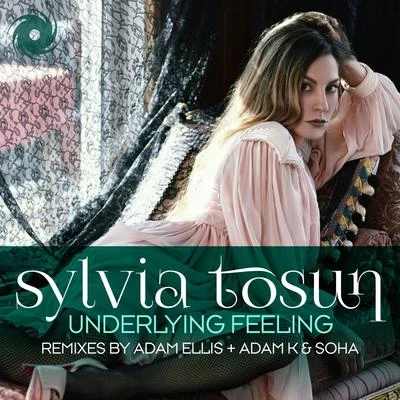 Underlying Feeling (Adam Ellis & Adam K & Soha Remixes) 專輯 Sylvia Tosun/M6/Day Din/Scott Bond/Jordan Suckley