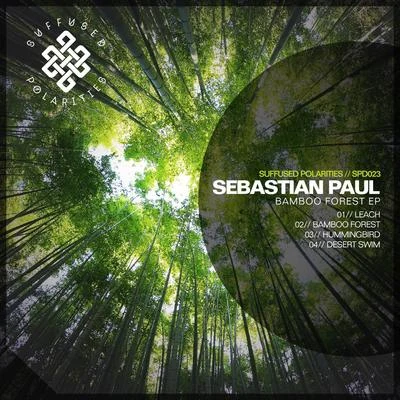 Bamboo Forest 专辑 Sebastian Paul