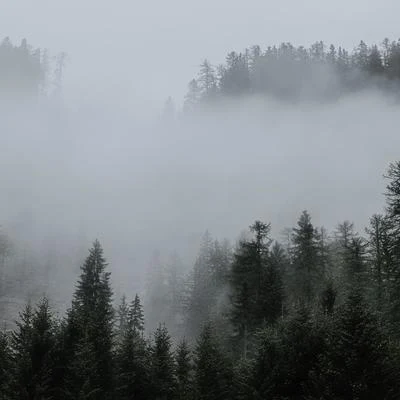 100 Hour of Calming Songs for Relaxation & Relaxation 专辑 White Noise Ambience/Rain Sounds Sleep