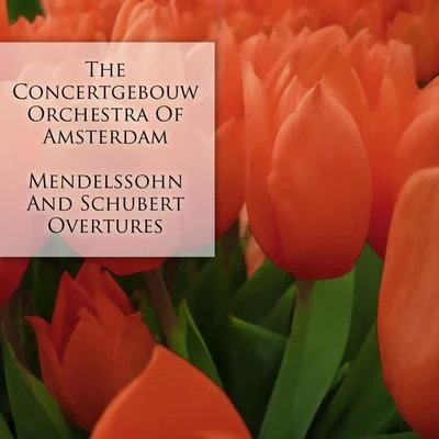 Mendelssohn and Schubert: Overtures 專輯 Paul van Kempen/The Concertgebouw Orchestra of Amsterdam