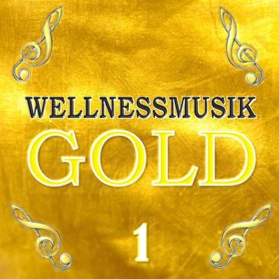 Wellnessmusik Gold 1 专辑 Largo