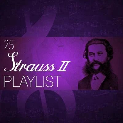 25 Strauss II Playlist 专辑 Fritz Hoppe/Anny Schlemm/Johann Strauss II/Anneliese Müller/Helmut Krebs