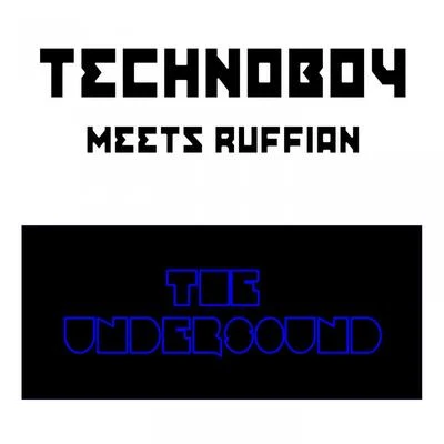 The Undersound 专辑 Technoboy