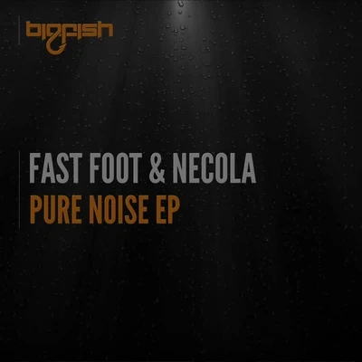 Pure Noise EP 專輯 HIDE/Fast Foot/Ryan Enzed/FTampa/Atrax Morgue