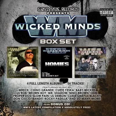 Wicked MindsArt Of Fighters Wicked Minds Box Set