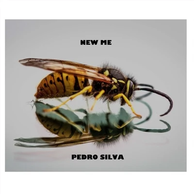 New Me 專輯 Pedro Silva