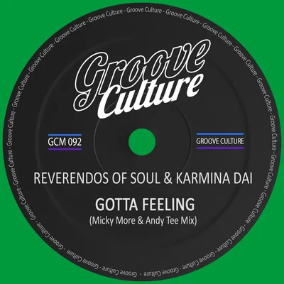 Gotta Feeling (Micky More & Andy Tee Club Mix) 專輯 Karmina Dai