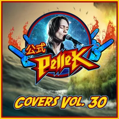 Covers, Vol. 30 專輯 PelleK