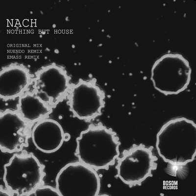 Nach Nothing But House