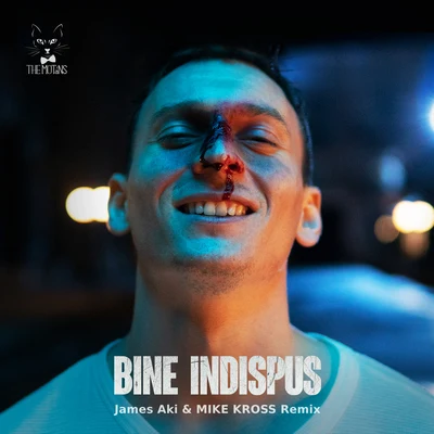 Bine Indispus (James Aki & Mike Kross Remix) 專輯 The Motans