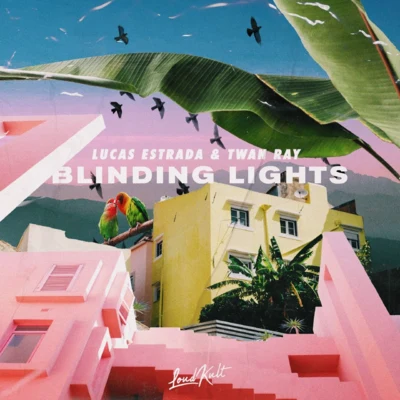 Blinding Lights 专辑 Lucas Estrada