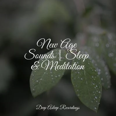 New Age Sounds | Sleep & Meditation 專輯 Study Concentration/New Age/Avslappning Sound