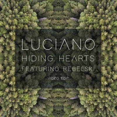 Hiding Hearts (Video Edit) 專輯 Luciano