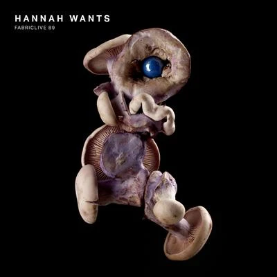 Hannah Wants FABRICLIVE 89: Hannah Wants