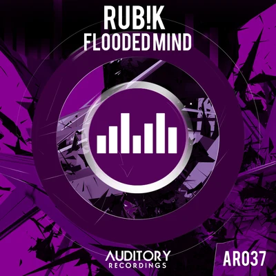 Flooded Mind 专辑 Rub!k/Paffendorf