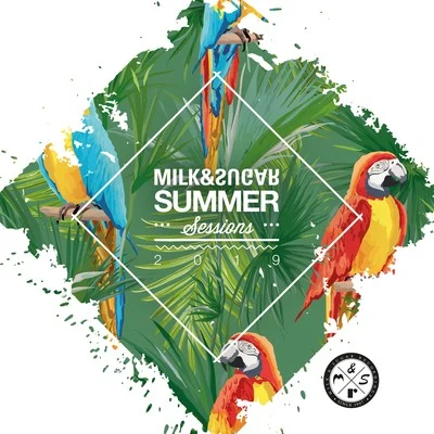 Summer Sessions 2019 专辑 Euphonica/Milk & Sugar/Münchner Symphoniker