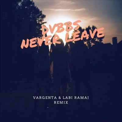 Never Leave (VARGENTA & LABI RAMAJ Remix) 專輯 VARGENTA