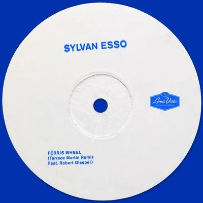 Sylvan EssoLocal Natives Ferris Wheel (Terrace Martin Remix)